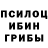 Галлюциногенные грибы Psilocybe Ildar Gallyamov