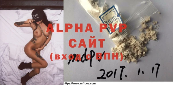 СК Медвежьегорск