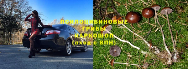СК Медвежьегорск