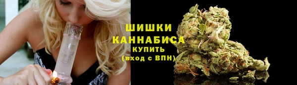 СК Медвежьегорск