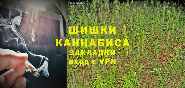 СК Медвежьегорск