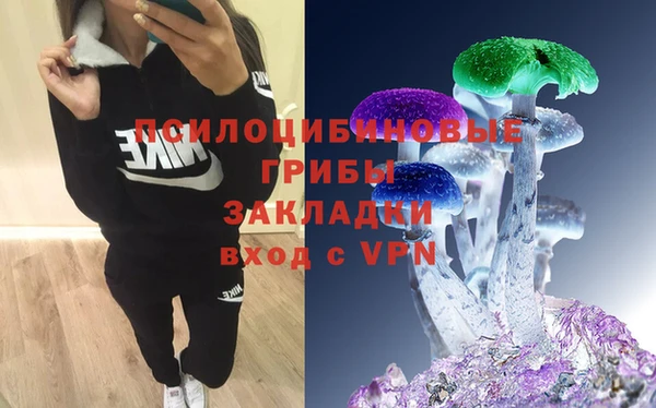 герыч Медногорск