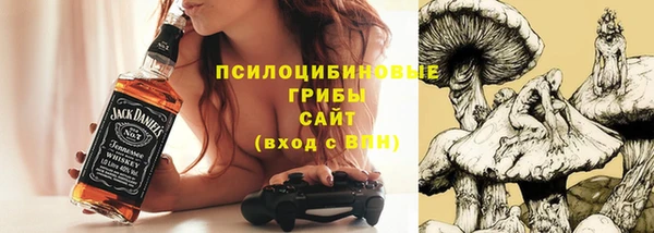 герыч Медногорск