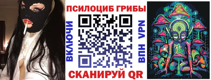 Галлюциногенные грибы Psilocybine cubensis  Купить где  Кунгур 